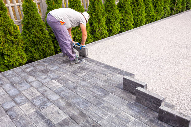Best Driveway Paving Contractor  in Morongo Valley, CA